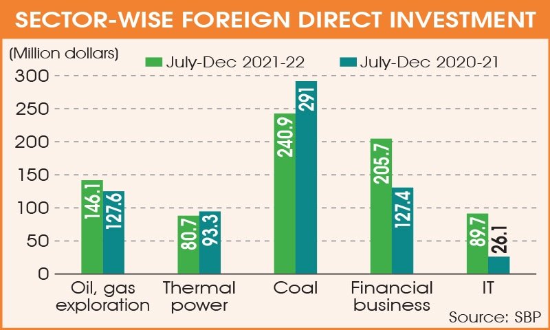 Foreign direct investment increases 20pc in July-December